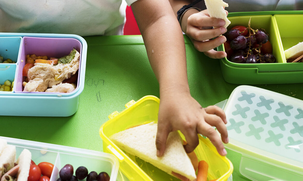 Cómo fomentar una buena alimentación en niños a través de la educación escolar