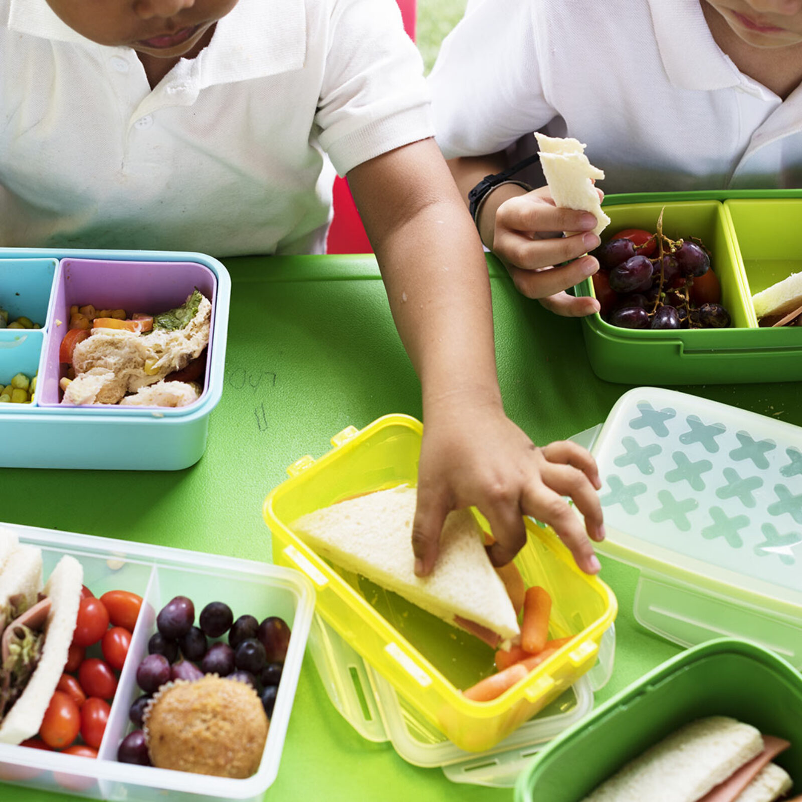 Cómo fomentar una buena alimentación en niños a través de la educación escolar